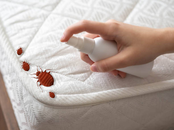 Best Pest Control for Multi-Family Homes  in Pierceton, IN